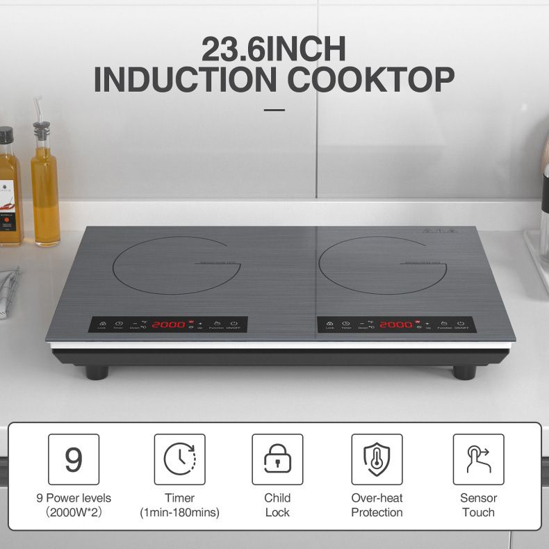 เตาแม่เหล็กไฟฟ้าแบบสองหัวเตา,  - Commercial Kitchen Zones บทวิจารณ์และราคา